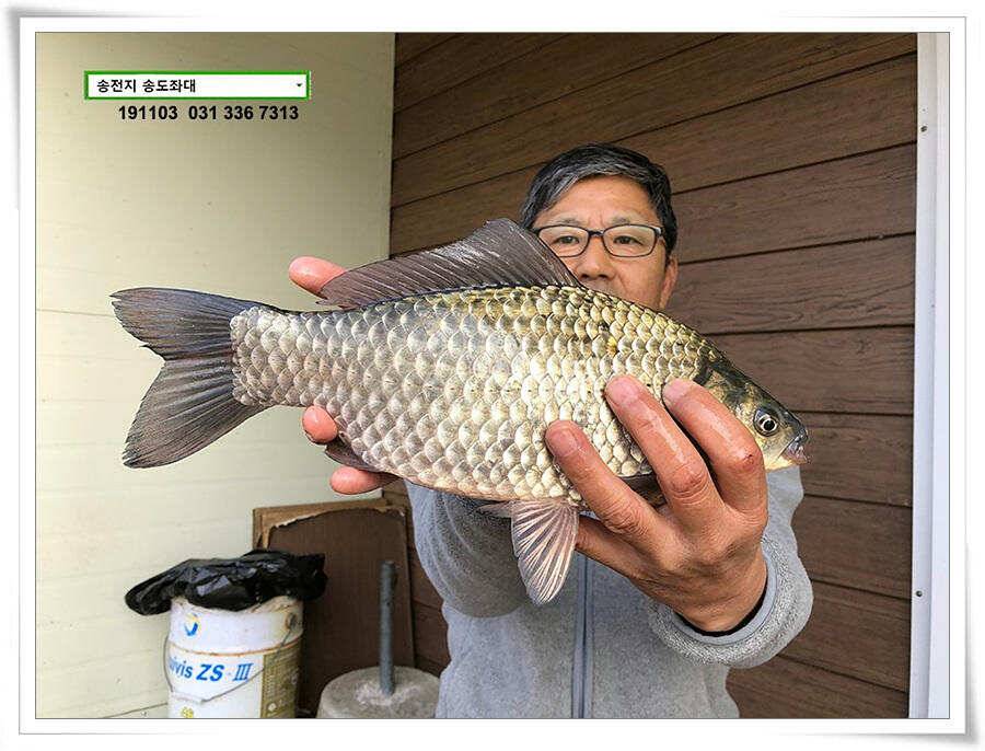 시즌 막바지 (유료터정보 - 유료터점주조황)