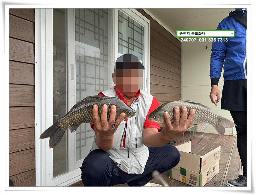 강풍에 허리급 (유료터정보 - 유료터점주조황)