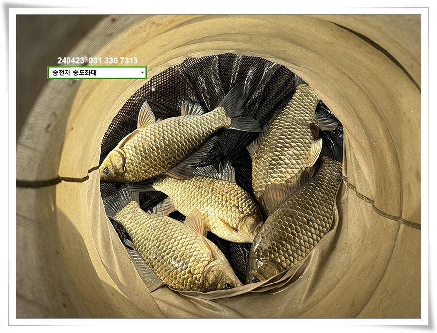 대낮에 한 4짜 (유료터정보 - 유료터점주조황)
