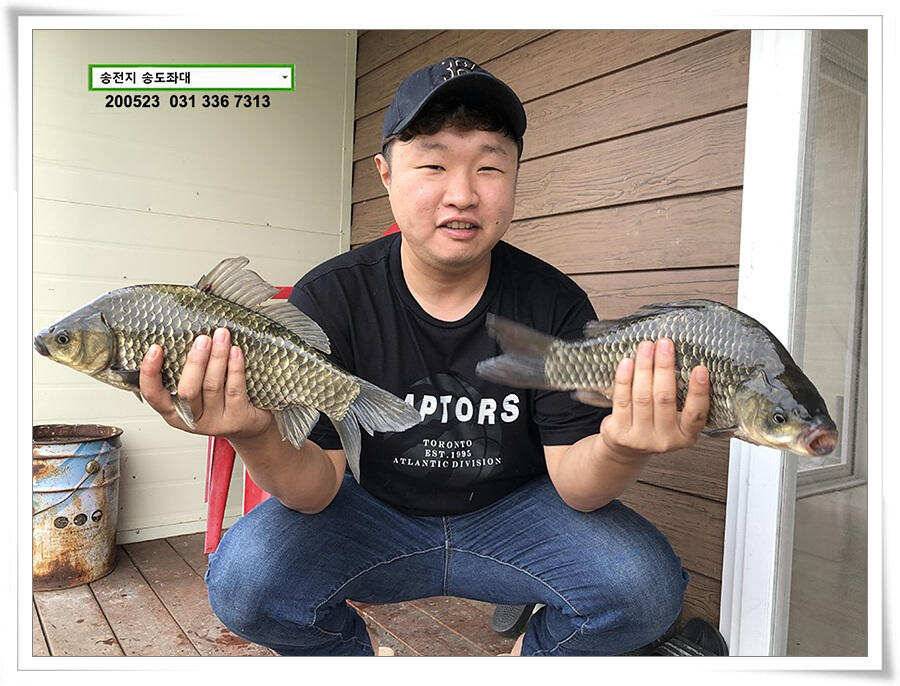 늦바람 난 송전지 조황 (유료터정보 - 유료터점주조황)