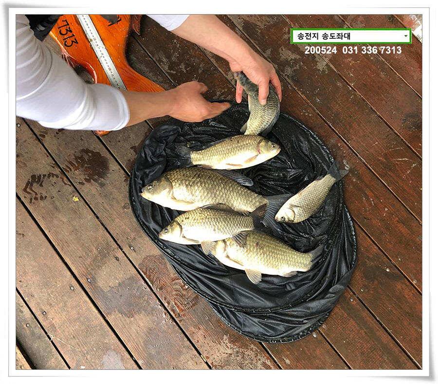 거꾸로 가는 송전지 시계 (유료터정보 - 유료터점주조황)