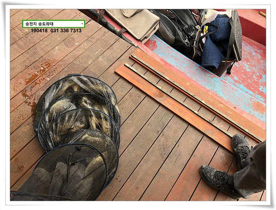꽃피는 봄이 오면 (유료터정보 - 유료터점주조황)