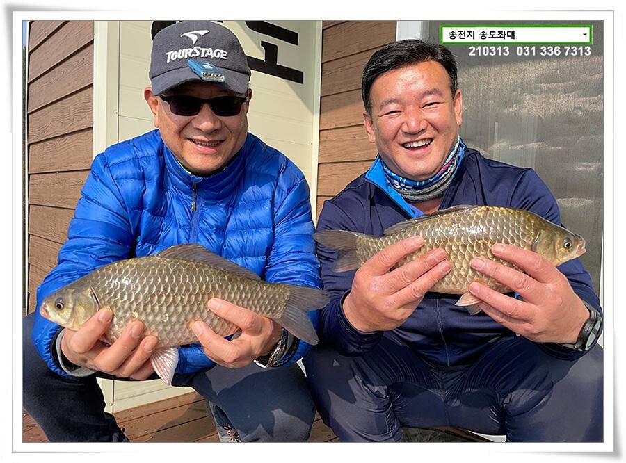 봄 붕어 제오시는 송전지 송도좌대 조황 (유료터정보 - 유료터점주조황)
