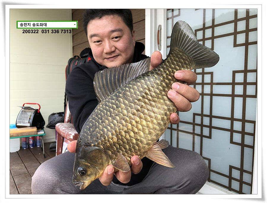입 벌려 딸기 들어간닷송전지 송도좌대 조황 (유료터정보 - 유료터점주조황)
