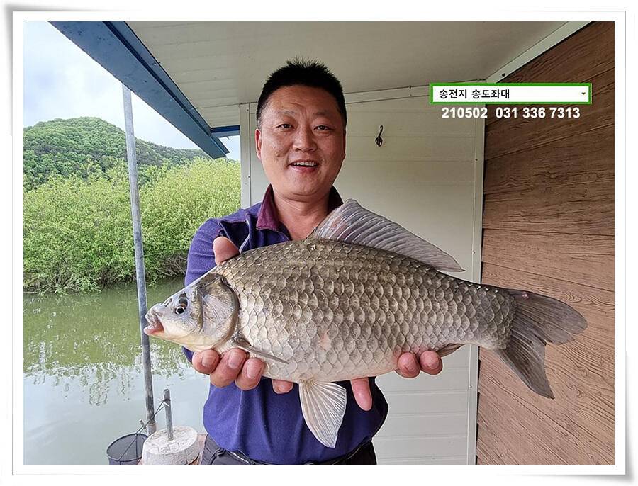 배수에도 4짜송전지 송도좌대 조황 (유료터정보 - 유료터점주조황)