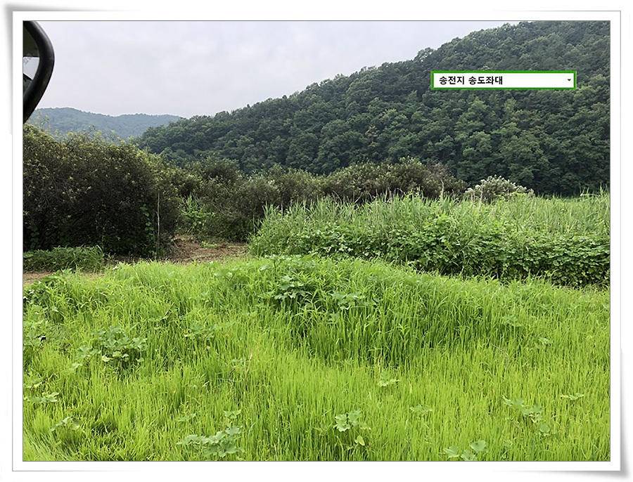 미약한 오름 송전지 송도좌대 조황 (유료터정보 - 유료터점주조황)
