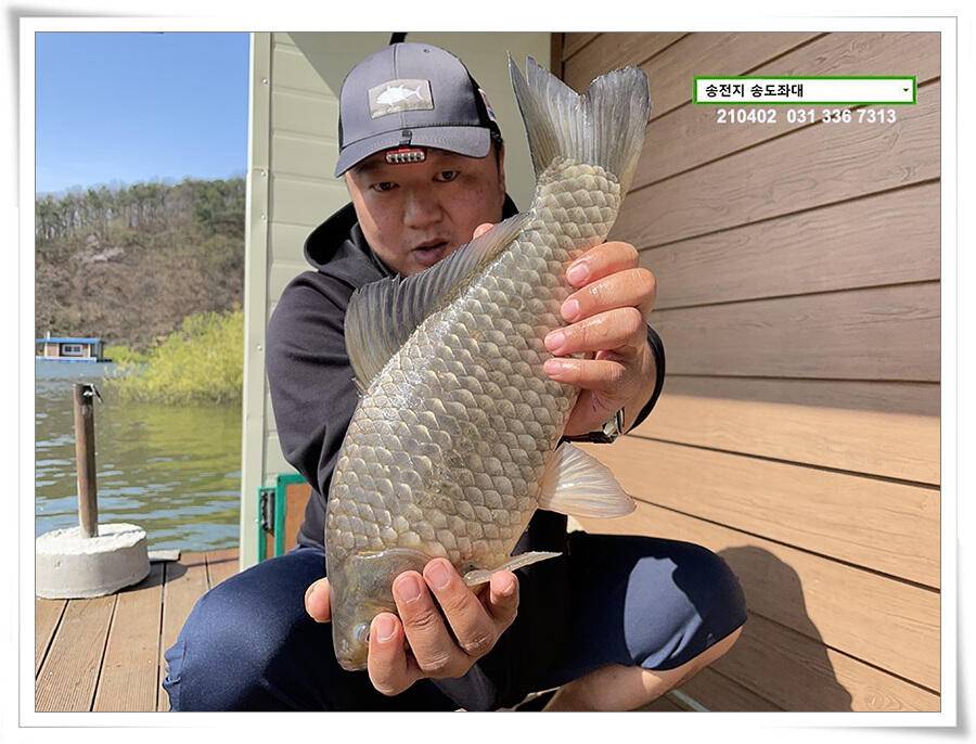 4짜 잼 꿀 잼 용인송전지 송도좌대 조황 (유료터정보 - 유료터점주조황)