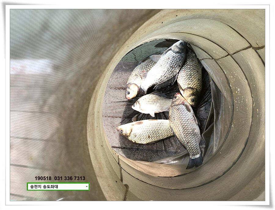 송도좌대 근황 (유료터정보 - 유료터점주조황)