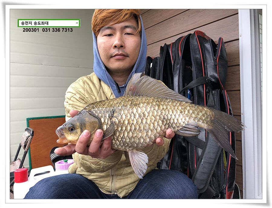 연이은 덩어리 송전지 송도좌대 조황 (유료터정보 - 유료터점주조황)