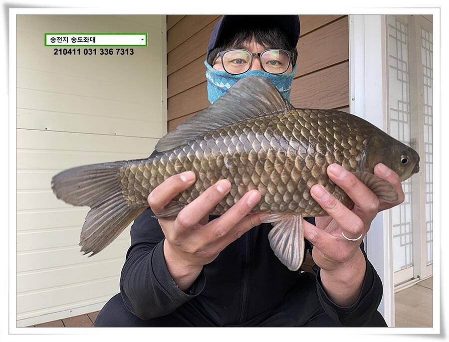 4040클럽 송전지 송도집 좌대 조황 (유료터정보 - 유료터점주조황)