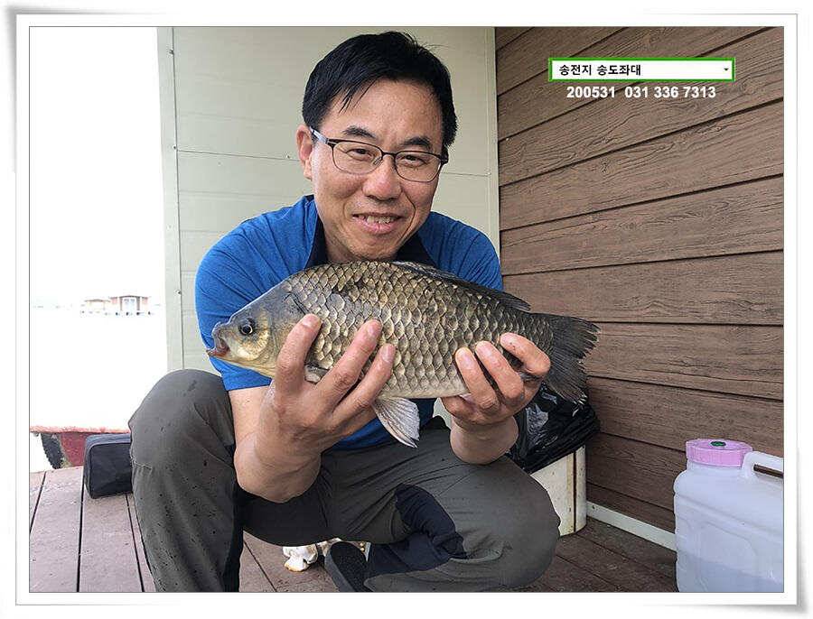 2차 직딩의 난송전지 송도좌대 조황 (유료터정보 - 유료터점주조황)