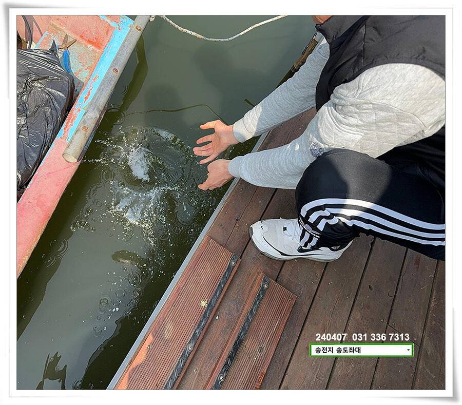 직딩의 4짜 (유료터정보 - 유료터점주조황)