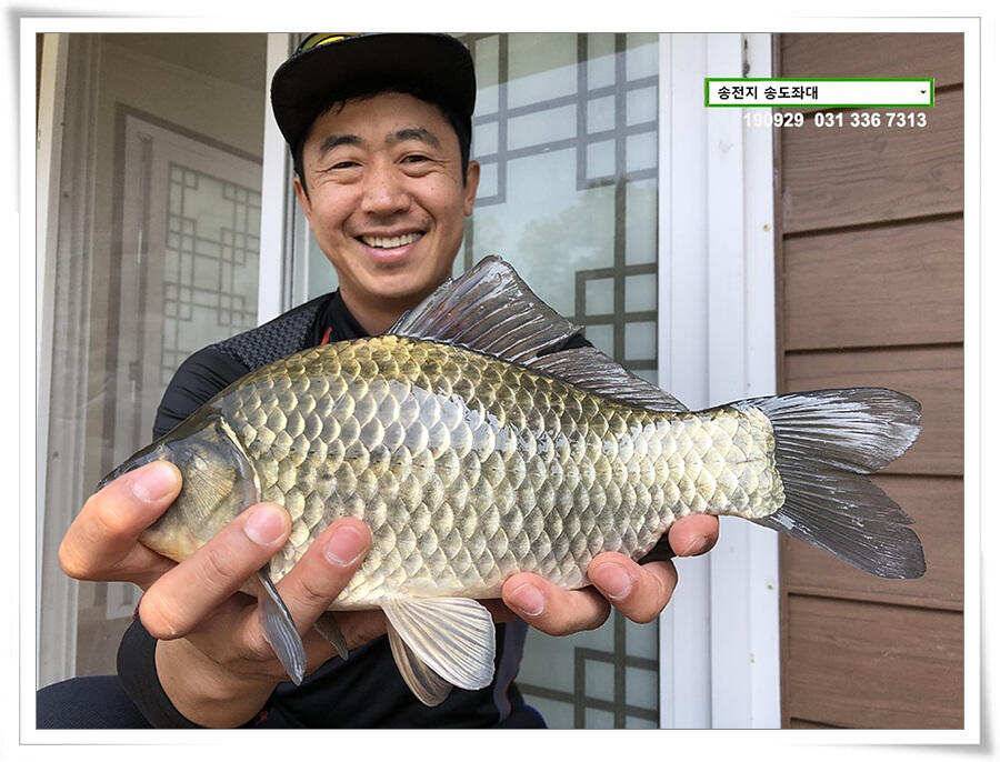 여기 어때 (유료터정보 - 유료터점주조황)