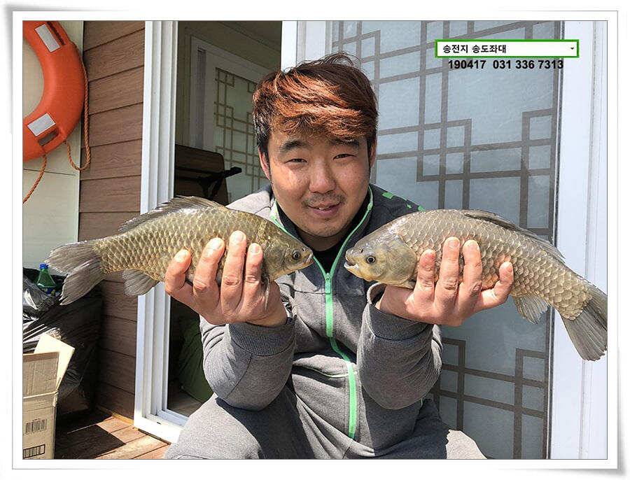 송전낚시터 송도좌대 조황 (유료터정보 - 유료터점주조황)