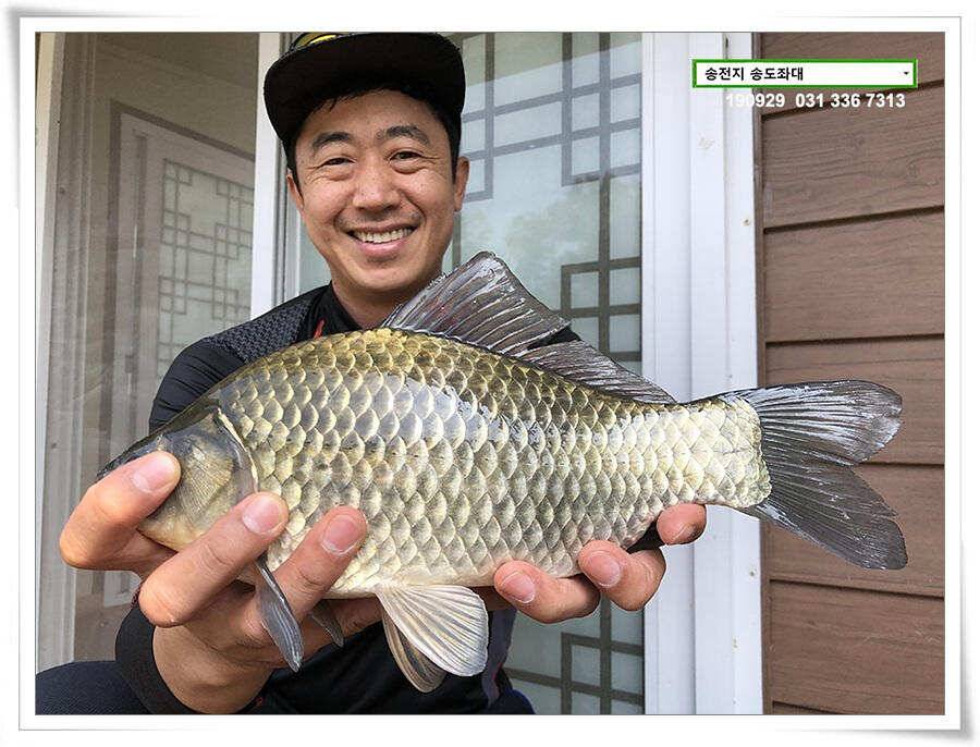 여기 어때 (유료터정보 - 유료터점주조황)