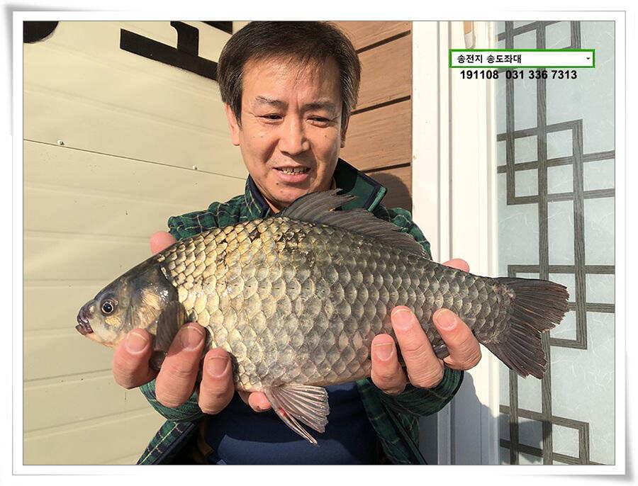 오랜만에 가을비 (유료터정보 - 유료터점주조황)