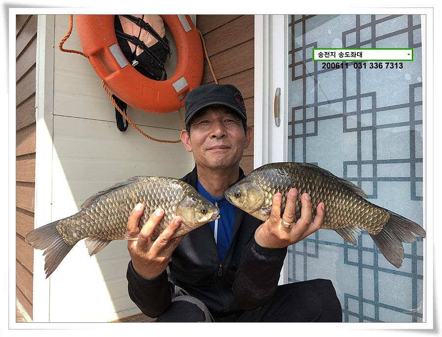 송전지 송도좌대 조황 (유료터정보 - 유료터점주조황)
