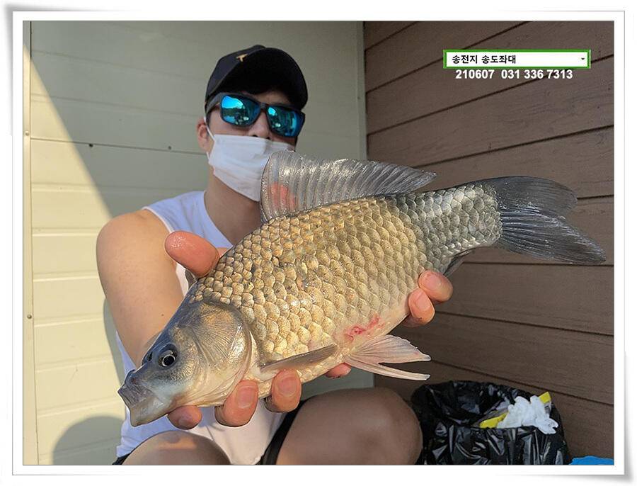 송전지 송전낚시터 송도좌대 조황 (유료터정보 - 유료터점주조황)