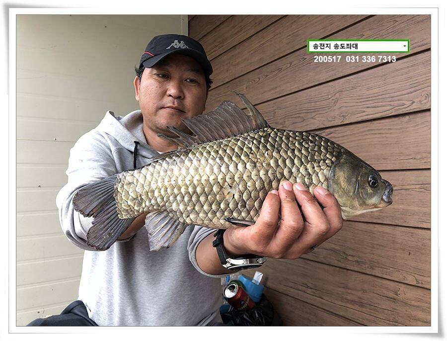송전지 송도집 좌대 조황 (유료터정보 - 유료터점주조황)