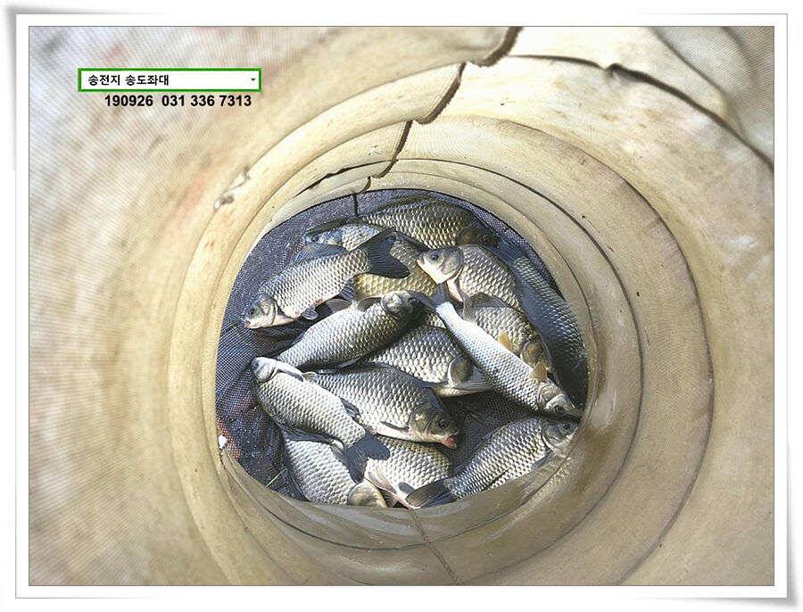 가을 수확 (유료터정보 - 유료터점주조황)