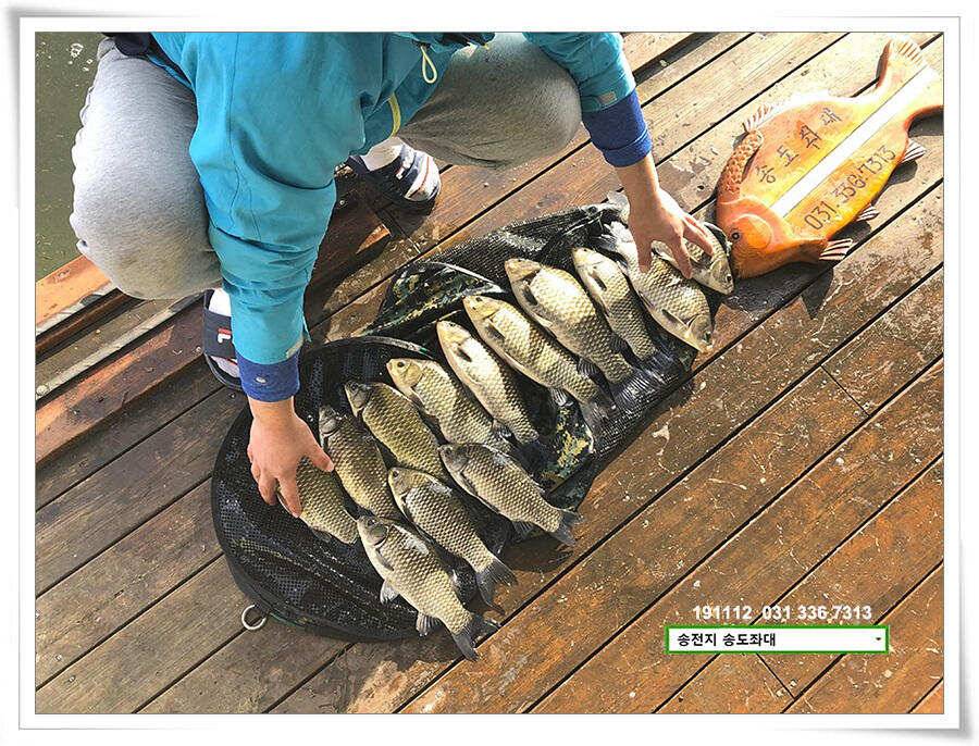 옥수수 맛집 (유료터정보 - 유료터점주조황)