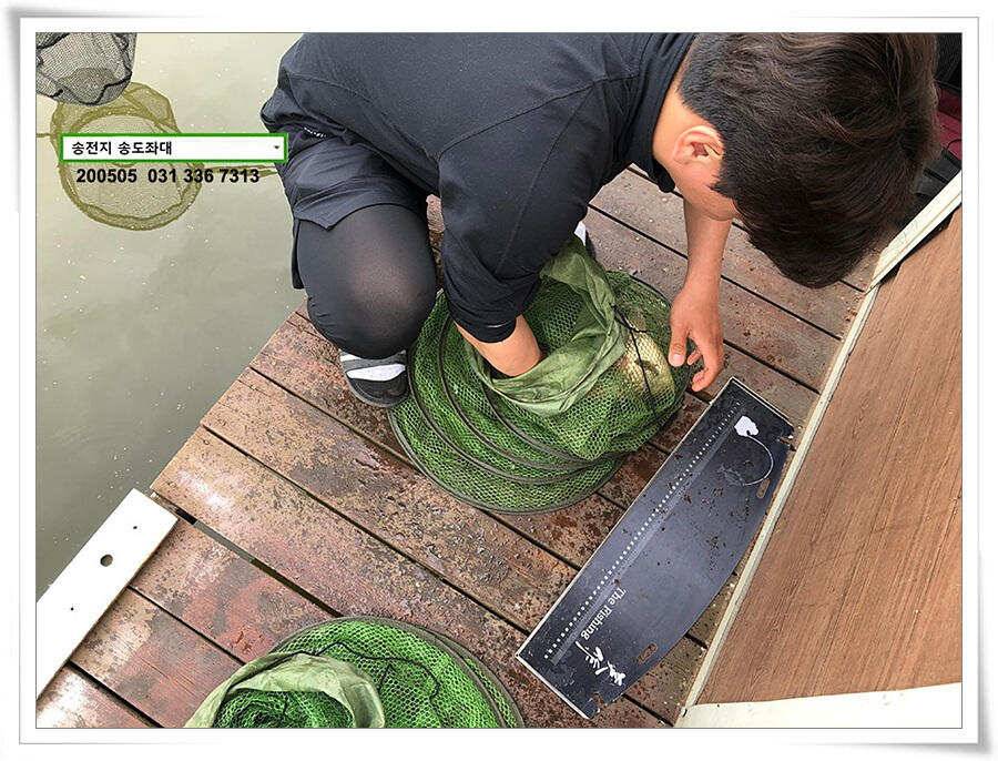 송전지 송도좌대 연휴조황 (유료터정보 - 유료터점주조황)