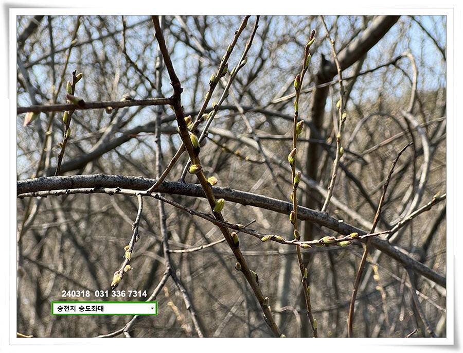 이윽고 4짜 (유료터정보 - 유료터점주조황)