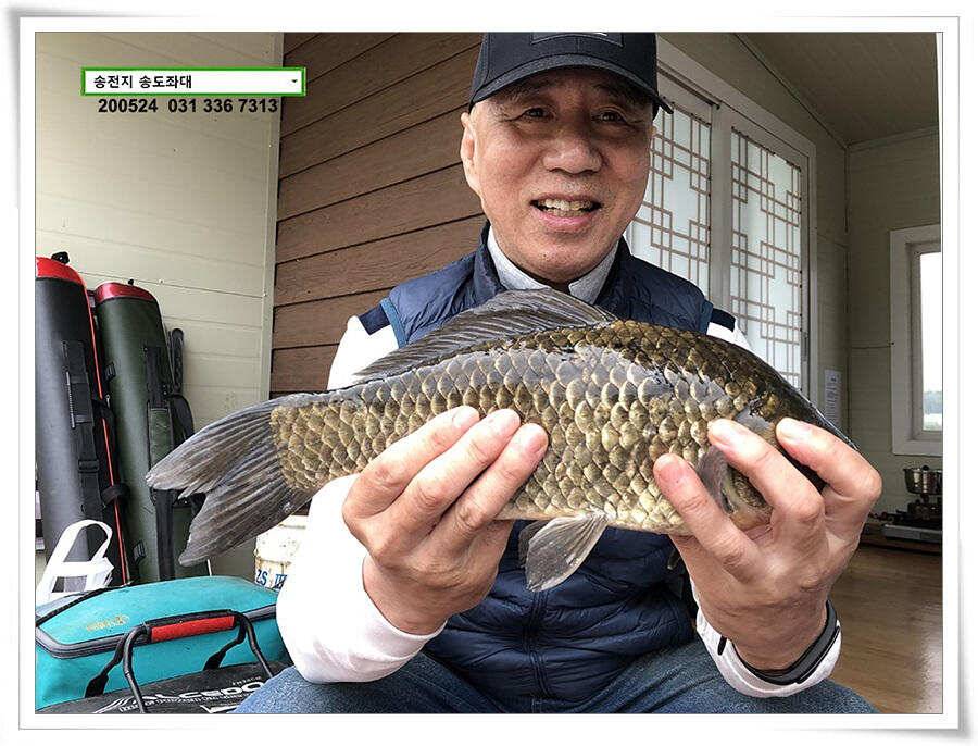 거꾸로 가는 송전지 시계 (유료터정보 - 유료터점주조황)