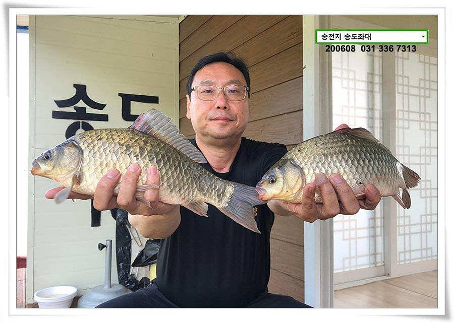 송전지 송전낚시터 송도집 좌대 조황 (유료터정보 - 유료터점주조황)