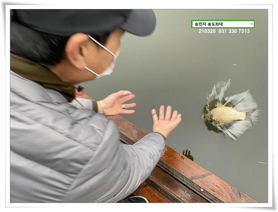 바람과 구름과 4짜 송전지 송도집 좌대 조황 (유료터정보 - 유료터점주조황)