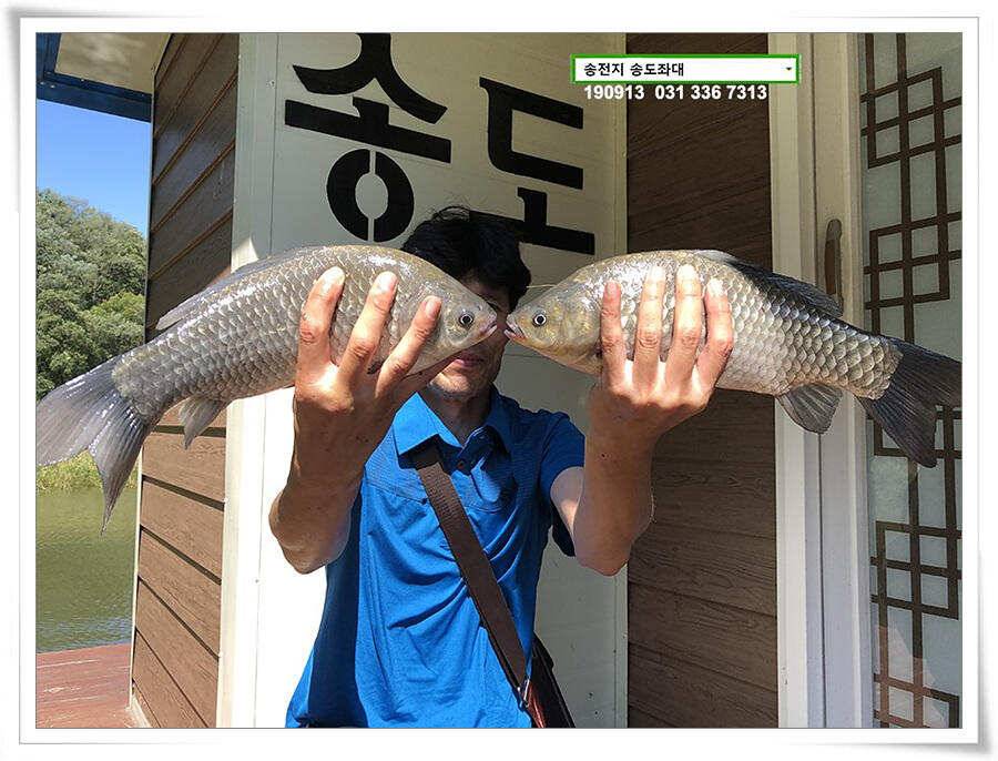 가을 덩어리 낚기 (유료터정보 - 유료터점주조황)