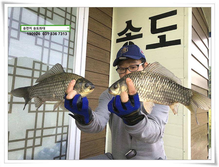 가을 수확 (유료터정보 - 유료터점주조황)