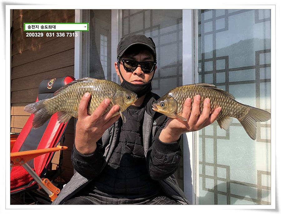 덩어리 혹은 마릿수 송전지 송도집 좌대 조황 (유료터정보 - 유료터점주조황)