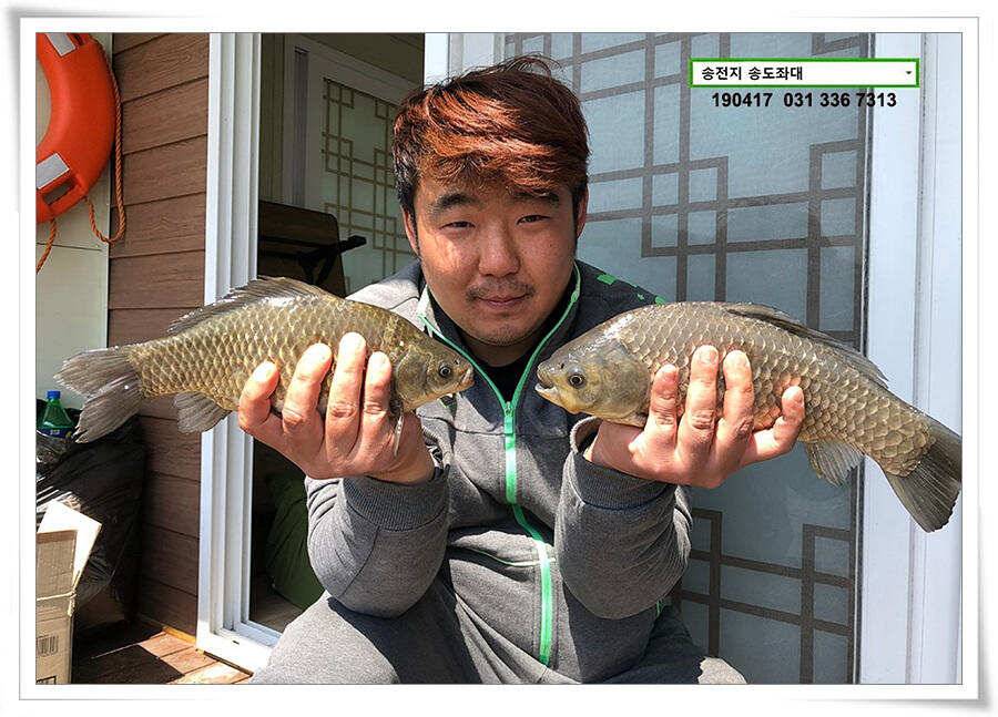 송전낚시터 송도좌대 조황 (유료터정보 - 유료터점주조황)