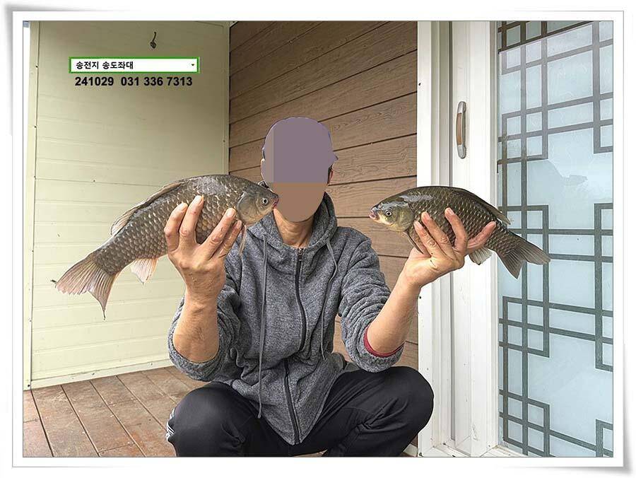당신이 잠든 사이 (유료터정보 - 유료터점주조황)