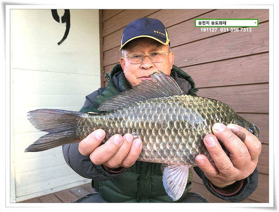 막판 스퍼트 (유료터정보 - 유료터점주조황)
