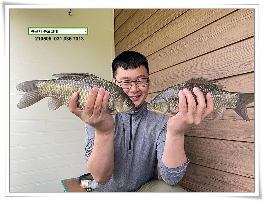 어른이 날 4짜송전지 송도집 좌대 조황 (유료터정보 - 유료터점주조황)