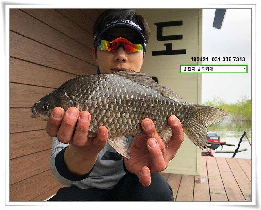 송전지 송도좌대 조황 (유료터정보 - 유료터점주조황)