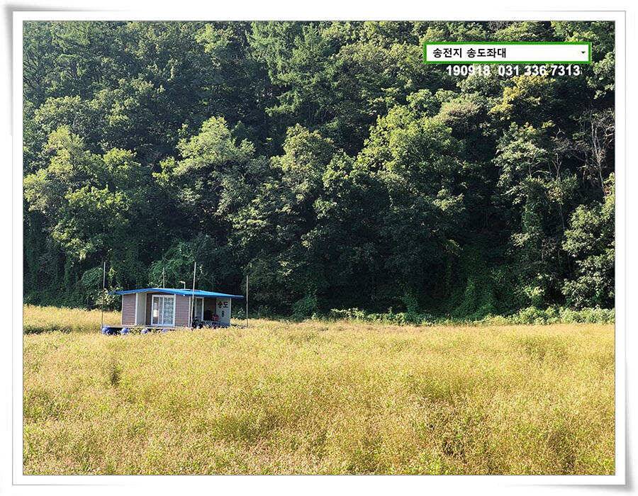 전투배치 (유료터정보 - 유료터점주조황)