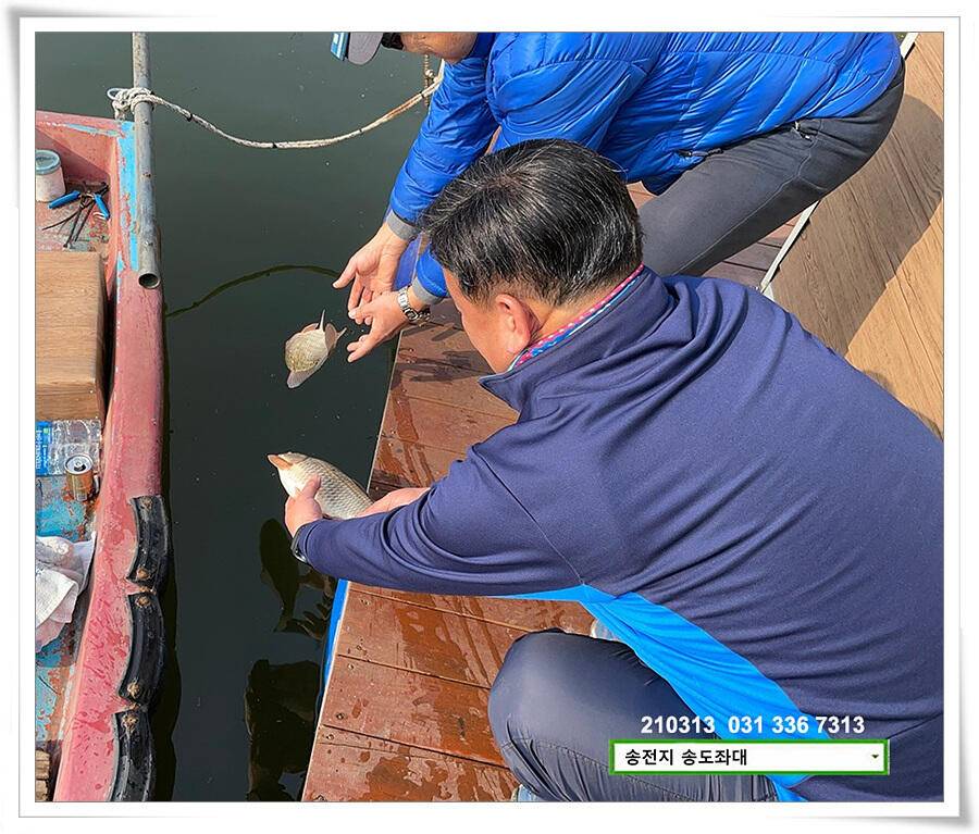 봄 붕어 제오시는 송전지 송도좌대 조황 (유료터정보 - 유료터점주조황)