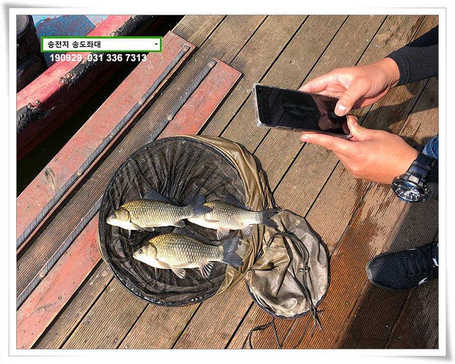 여기 어때 (유료터정보 - 유료터점주조황)