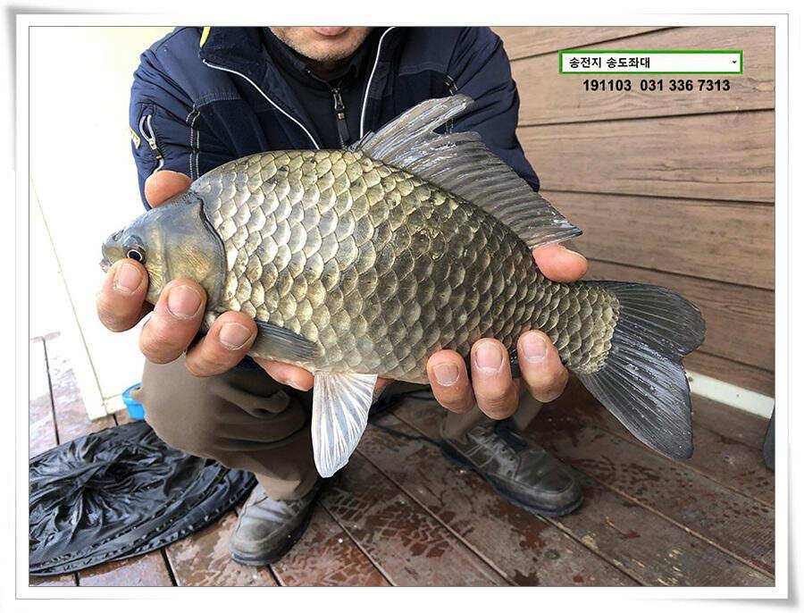 시즌 막바지 (유료터정보 - 유료터점주조황)