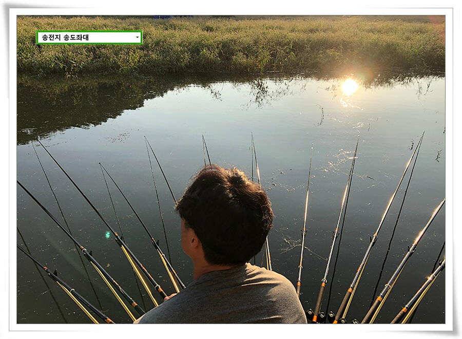 연휴 끝에 가을 볕 (유료터정보 - 유료터점주조황)