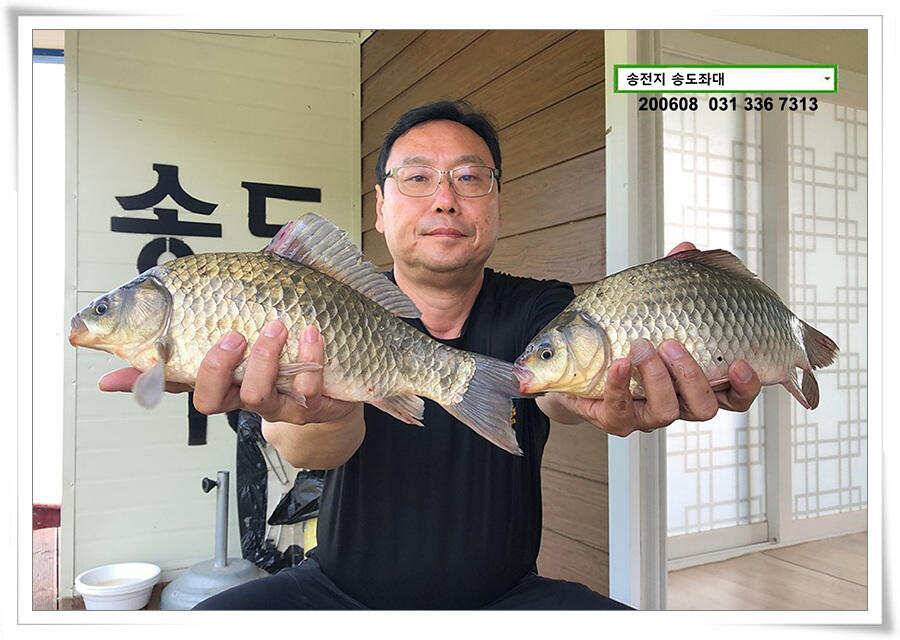 송전지 송전낚시터 송도집 좌대 조황 (유료터정보 - 유료터점주조황)