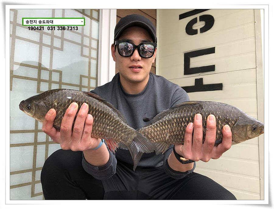 마릿수와 꽝의 차이 (유료터정보 - 유료터점주조황)