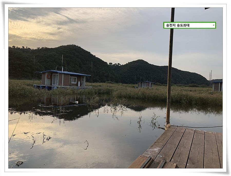 꾸준한 상면 (유료터정보 - 유료터점주조황)