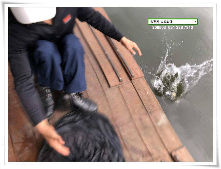 송전지 송도좌대 연휴조황 (유료터정보 - 유료터점주조황)