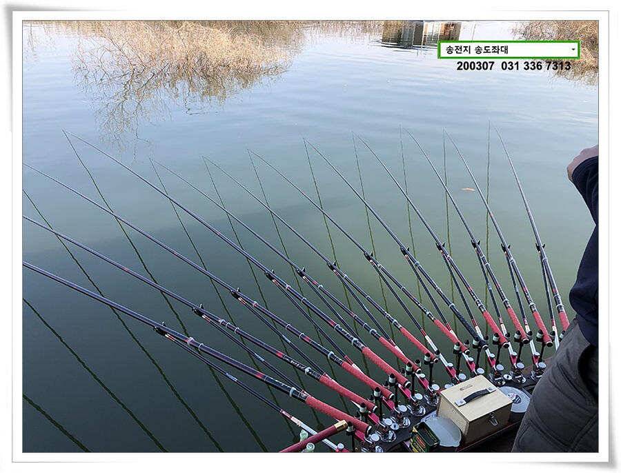 송전지 송도좌대 조황 (유료터정보 - 유료터점주조황)