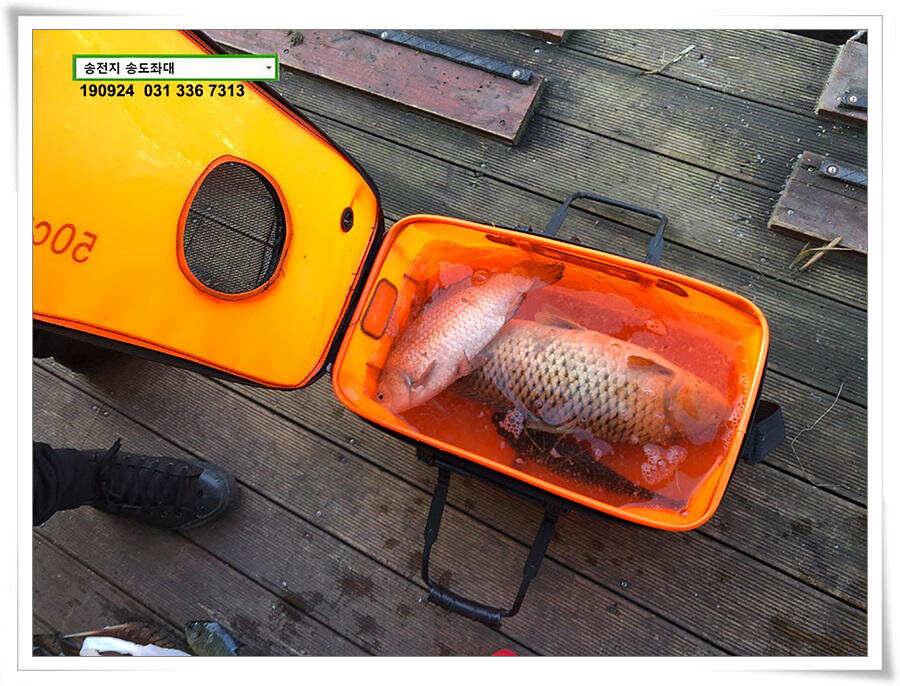 추분 지나는 가을 저수지 (유료터정보 - 유료터점주조황)