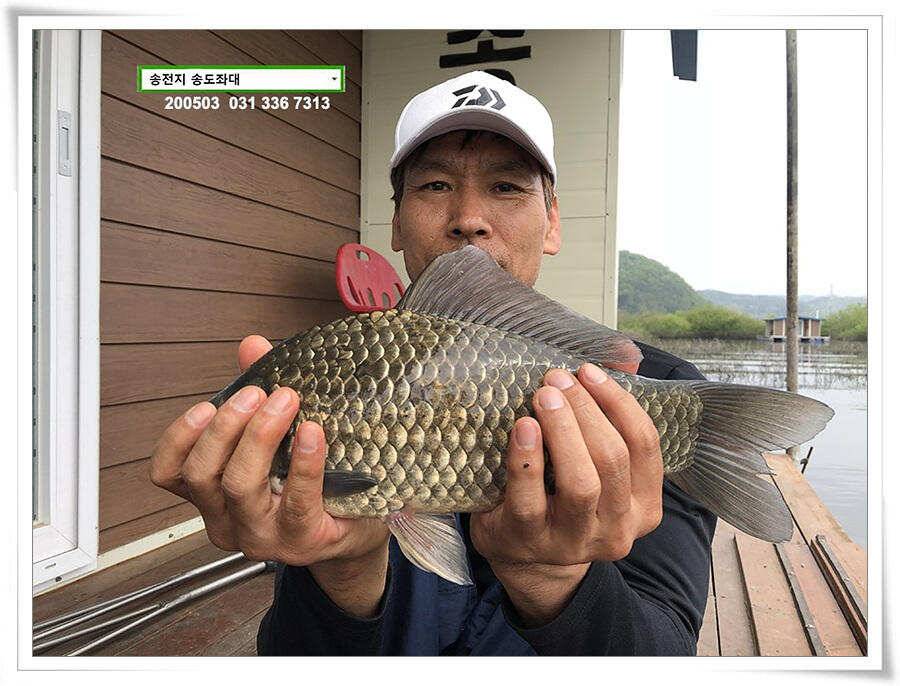 송전지 송도좌대 연휴조황 (유료터정보 - 유료터점주조황)